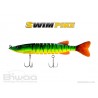 BIWAA Swim Pike - 7