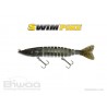 BIWAA Swim Pike - 9