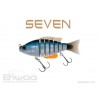 BIWAA Seven - 7