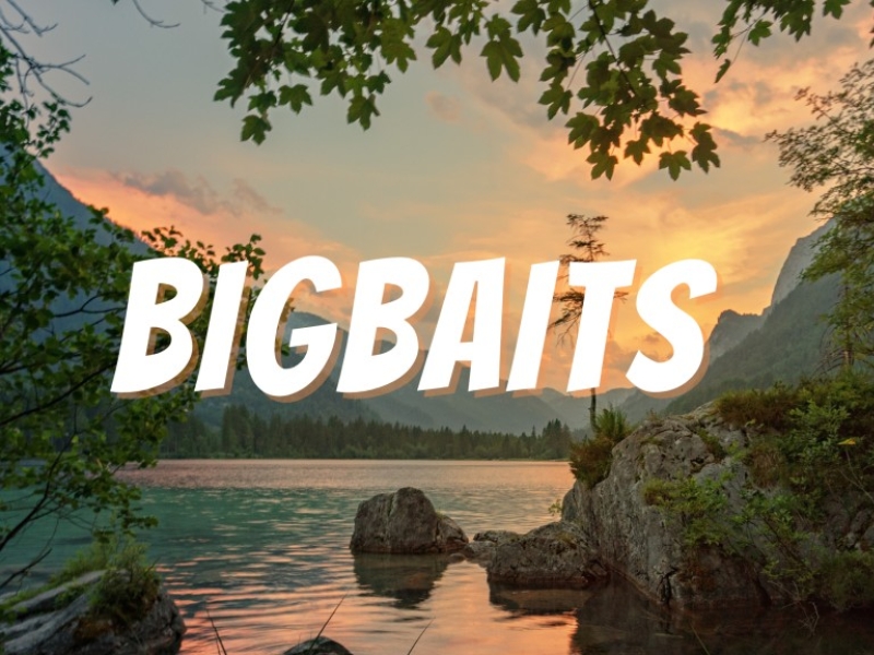 La pêche aux leurres : zoom sur le Bigbait !